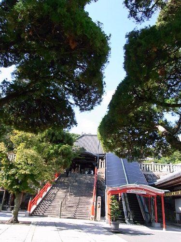 中山さん