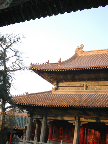 2009孔廟
