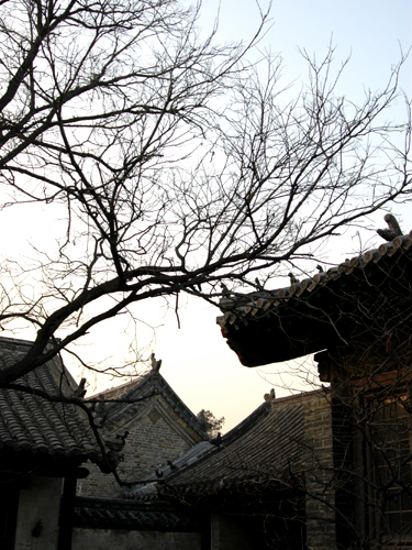 2009孔府