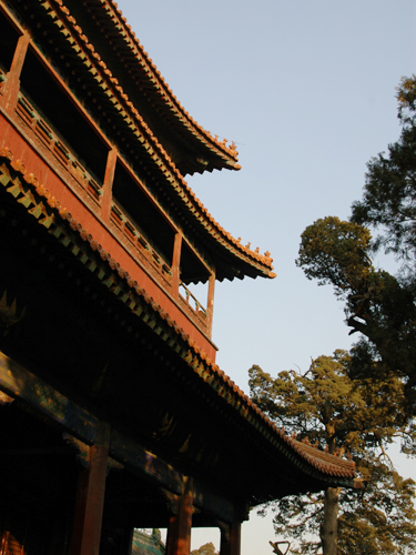 2009孔廟
