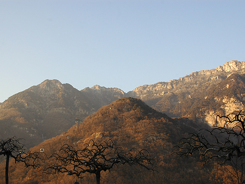 2009頂上
