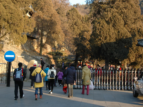 2009頂上