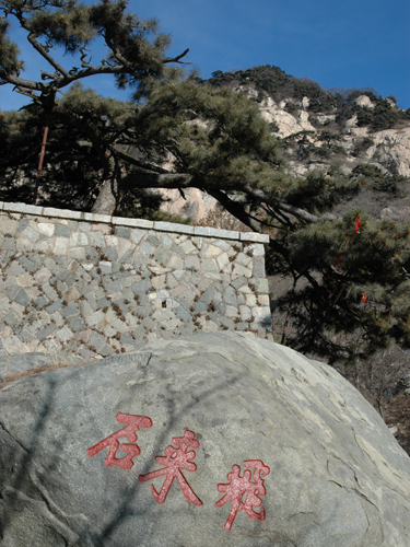 2009下山