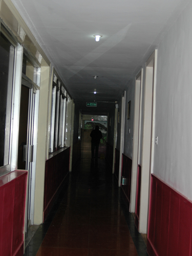 2009頂上